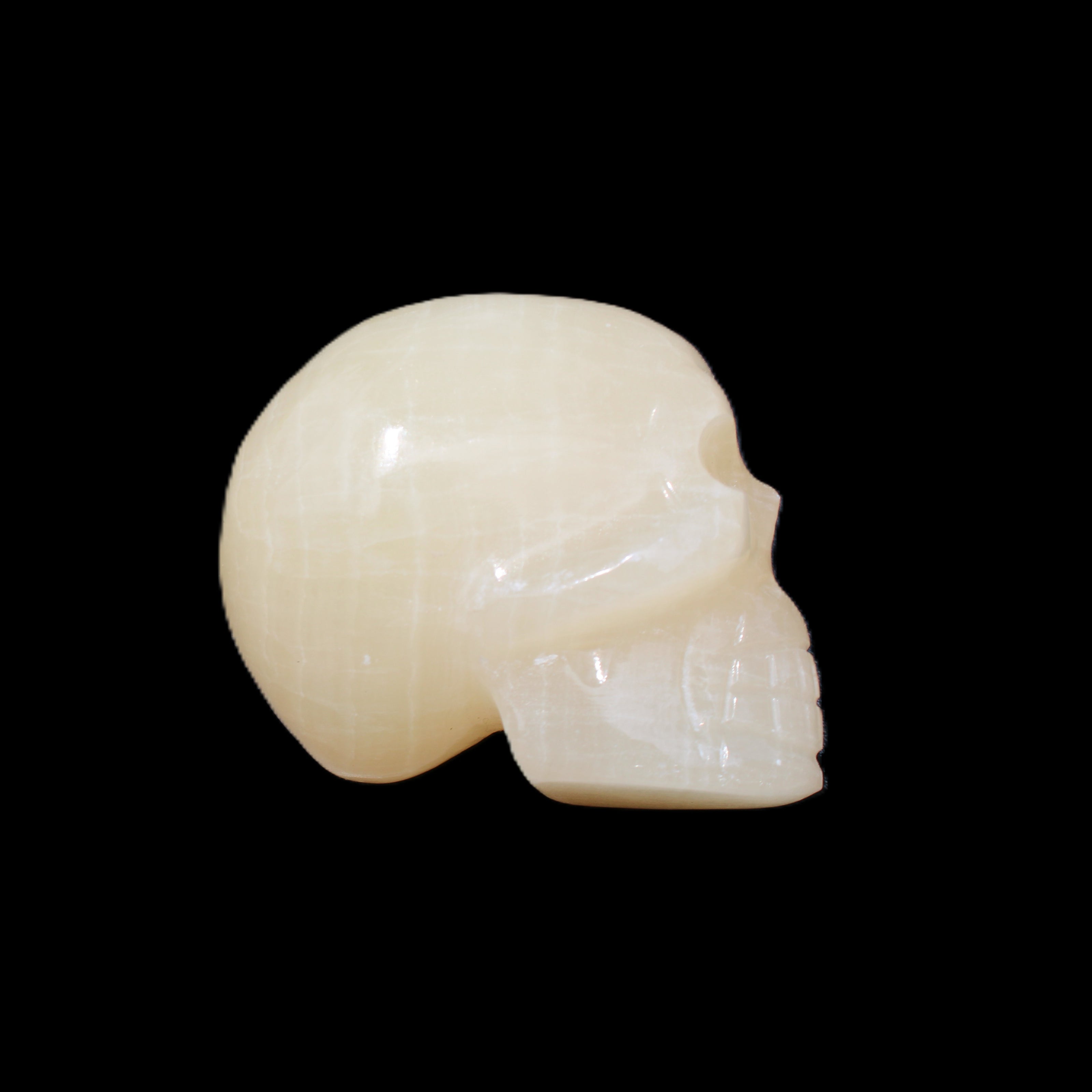 Honey Calcite skull hand-carved 60*50*39mm 192g in sunlight - Rocks and Things Store