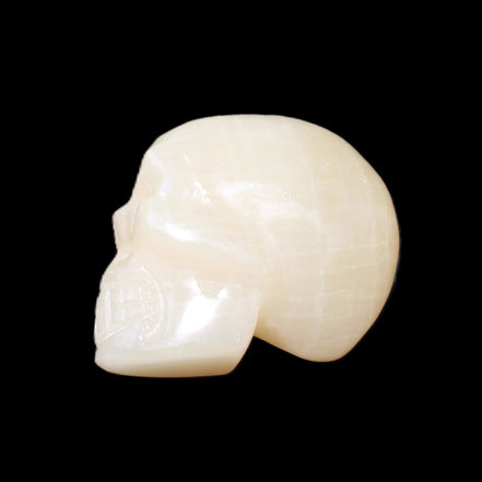 Honey Calcite skull hand-carved 60*50*39mm 192g in sunlight - Rocks and Things Store