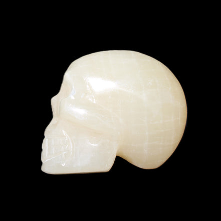 Honey Calcite skull hand-carved 60*50*39mm 192g in sunlight - Rocks and Things Store