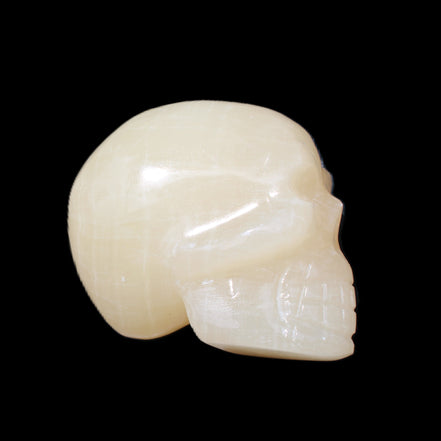 Honey Calcite skull hand-carved 60*50*39mm 192g in sunlight - Rocks and Things Store