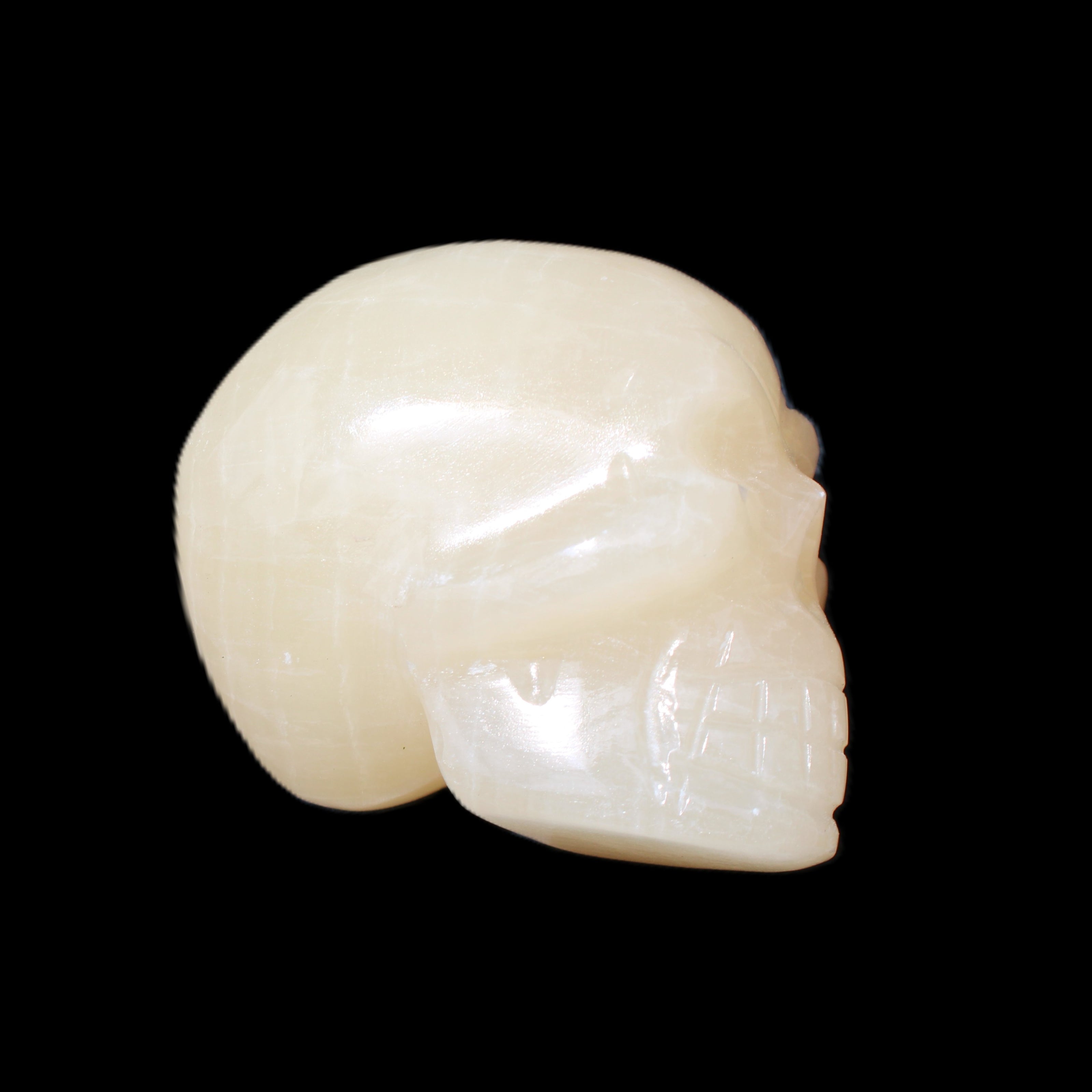 Honey Calcite skull hand-carved 60*50*39mm 192g in sunlight - Rocks and Things Store