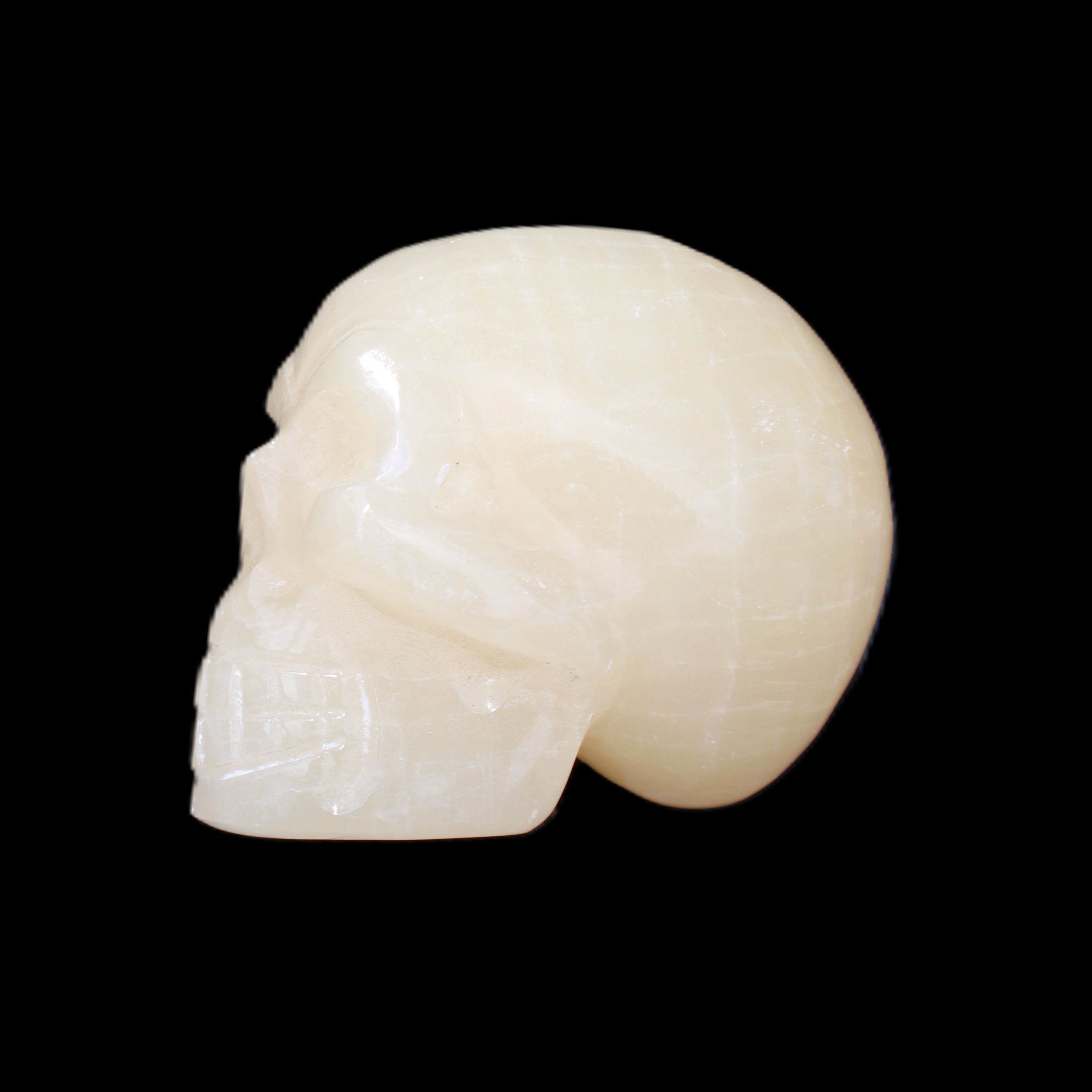 Honey Calcite skull hand-carved 60*50*39mm 192g in sunlight - Rocks and Things Store
