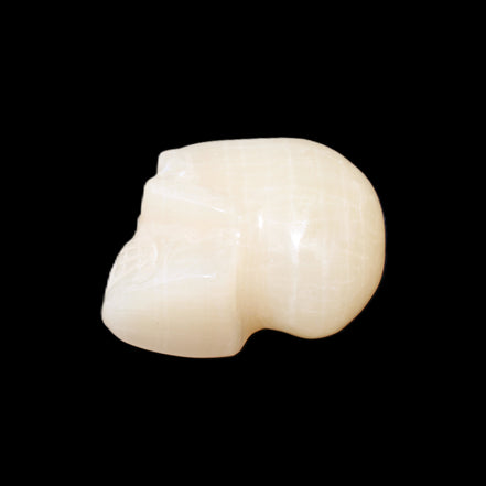 Honey Calcite skull hand-carved 60*50*39mm 192g in sunlight - Rocks and Things Store