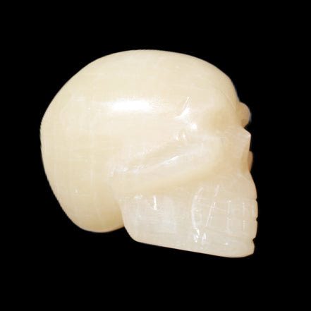 Honey Calcite skull hand-carved 60*50*39mm 192g in sunlight - Rocks and Things Store