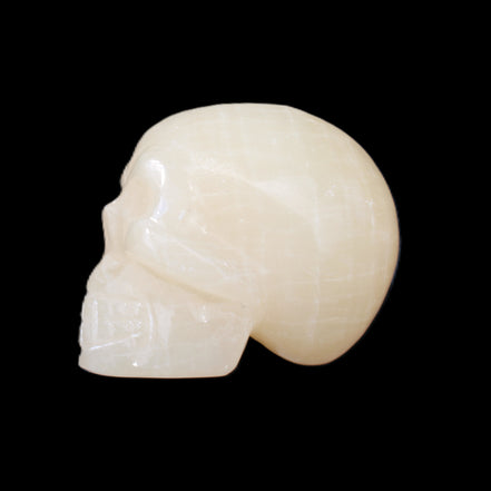 Honey Calcite skull hand-carved 60*50*39mm 192g in sunlight - Rocks and Things Store