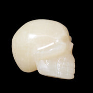 Honey Calcite skull hand-carved 60*50*39mm 192g in sunlight - Rocks and Things Store