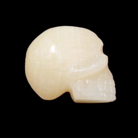 Honey Calcite skull hand-carved 60*50*39mm 192g in sunlight - Rocks and Things Store