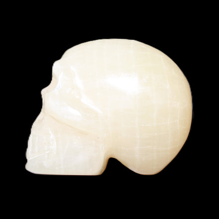 Honey Calcite skull hand-carved 60*50*39mm 192g in sunlight - Rocks and Things Store