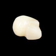 Honey Calcite skull hand-carved 60*50*39mm 192g in sunlight - Rocks and Things Store