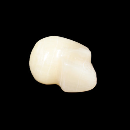 Honey Calcite skull hand-carved 60*50*39mm 192g in sunlight - Rocks and Things Store