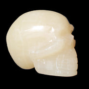 Honey Calcite skull hand-carved 60*50*39mm 192g in sunlight - Rocks and Things Store