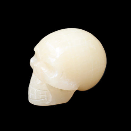 Honey Calcite skull hand-carved 60*50*39mm 192g in sunlight - Rocks and Things Store