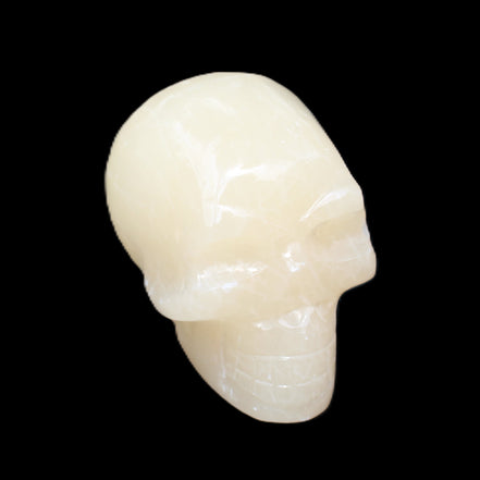 Honey Calcite skull hand-carved 60*50*39mm 192g in sunlight - Rocks and Things Store