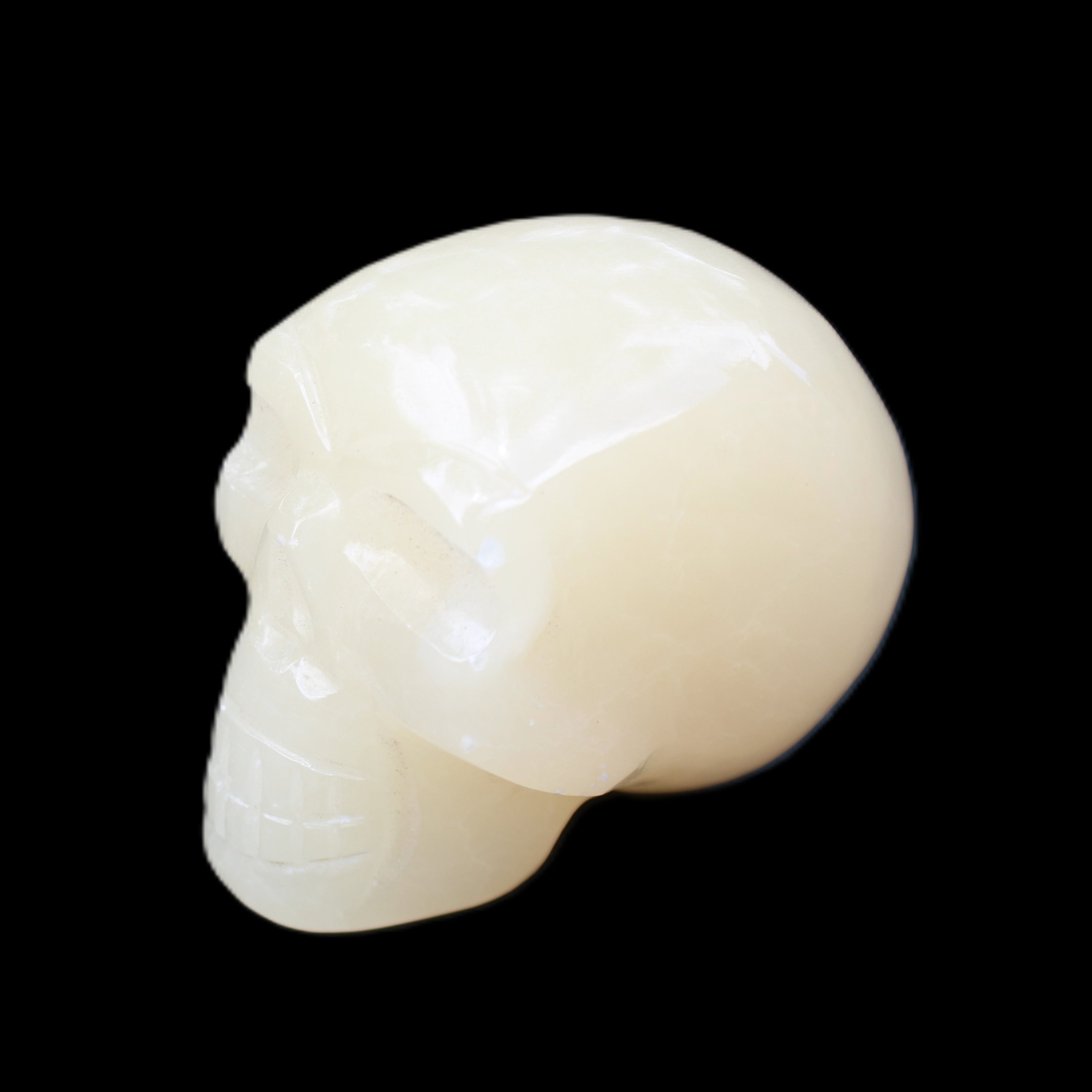 Honey Calcite skull hand-carved 58*48*40mm 175g in sunlight - Rocks and Things Store