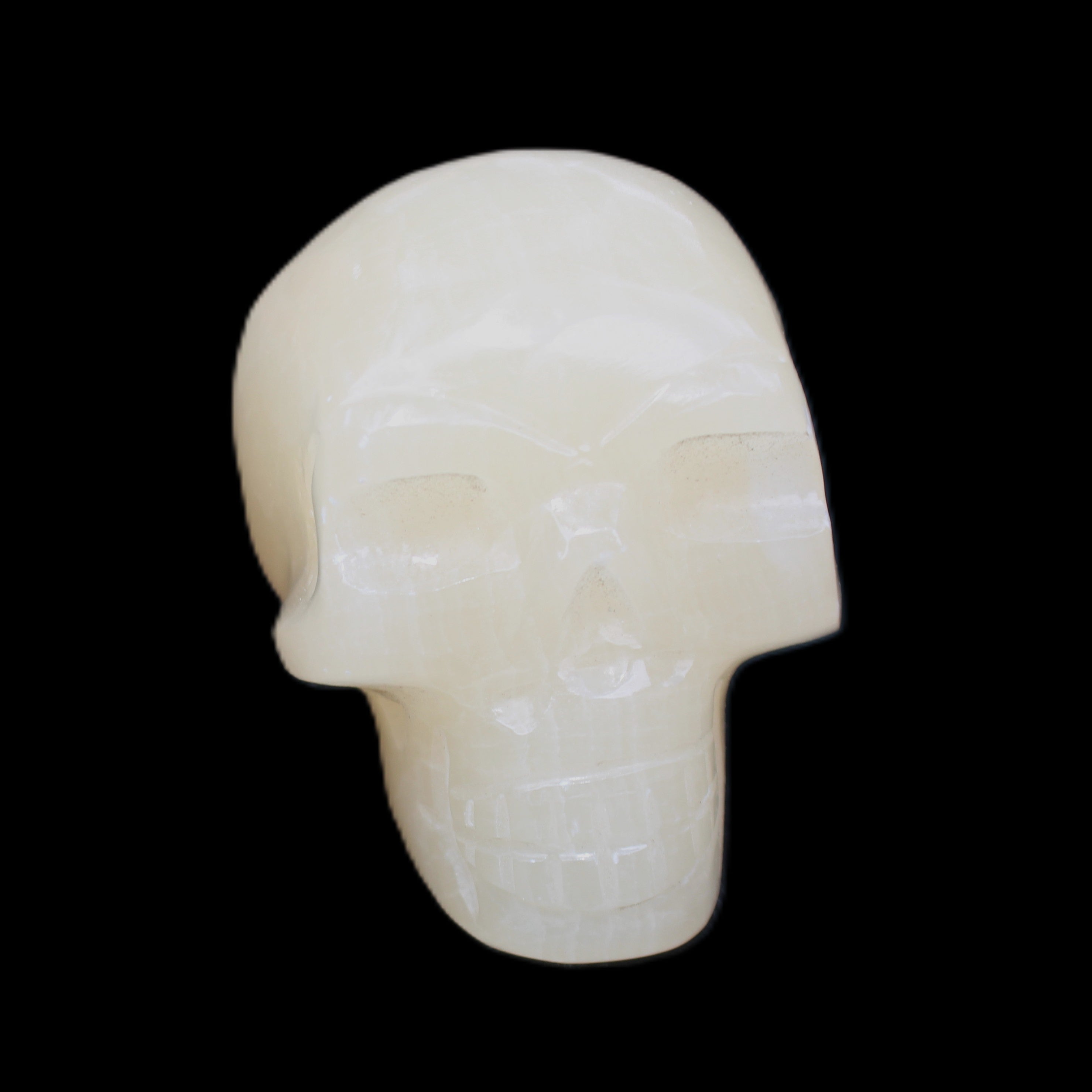 Honey Calcite skull hand-carved 58*48*40mm 175g in sunlight - Rocks and Things Store