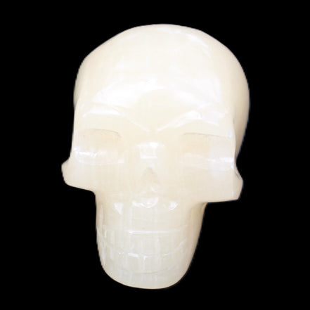 Honey Calcite skull hand-carved 58*48*40mm 175g in sunlight - Rocks and Things Store