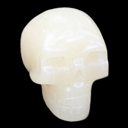 Honey Calcite skull hand-carved 58*48*40mm 175g in sunlight - Rocks and Things Store