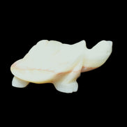 Afghan Jade Turtle hand-carved 85*58*32mm 153g in sunlight - Rocks and Things Store