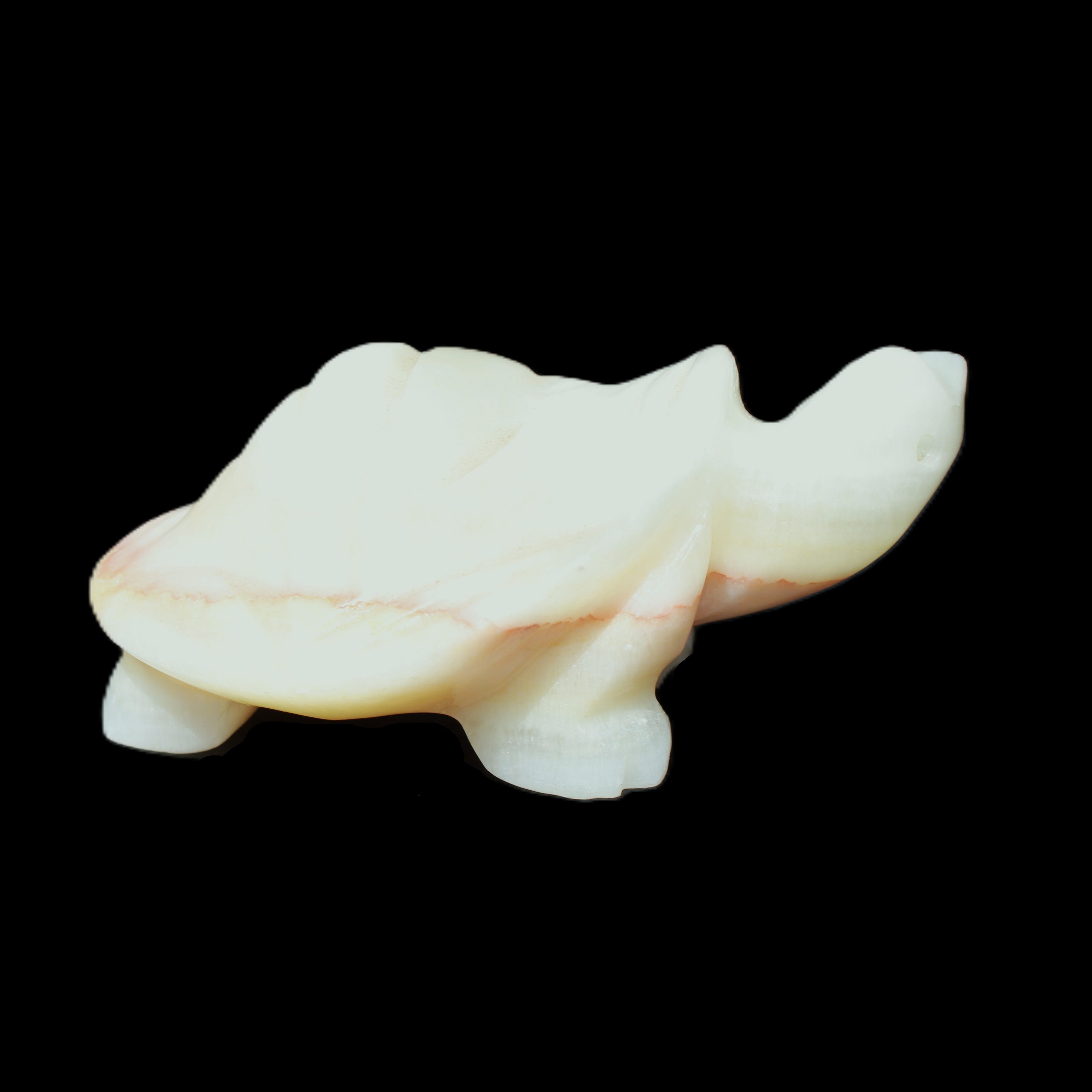 Afghan Jade Turtle hand-carved 85*58*32mm 153g in sunlight - Rocks and Things Store