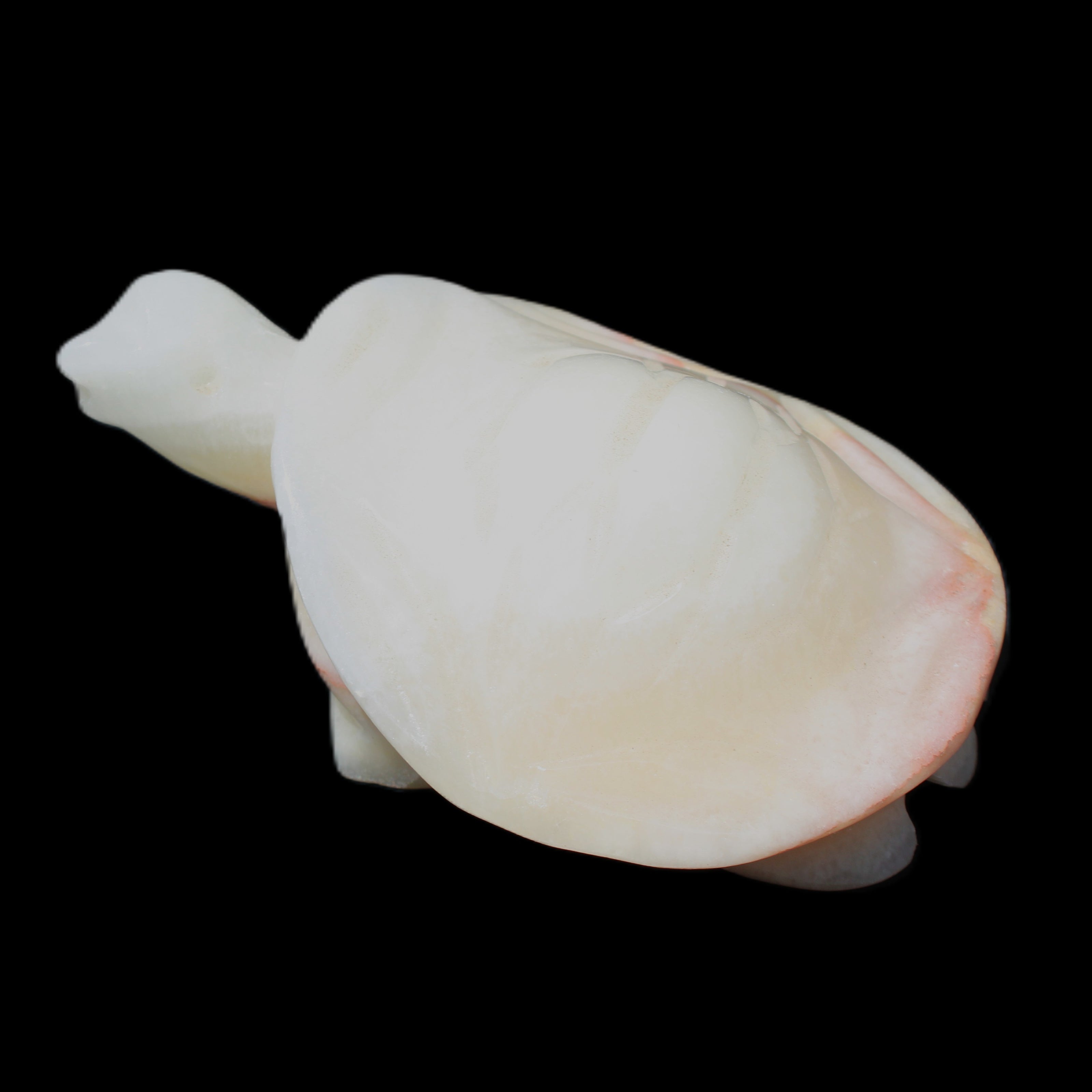 Afghan Jade Turtle hand-carved 85*58*32mm 153g in sunlight - Rocks and Things Store