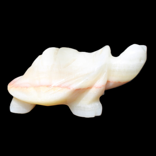 Afghan Jade Turtle hand-carved 85*58*32mm 153g in sunlight - Rocks and Things Store