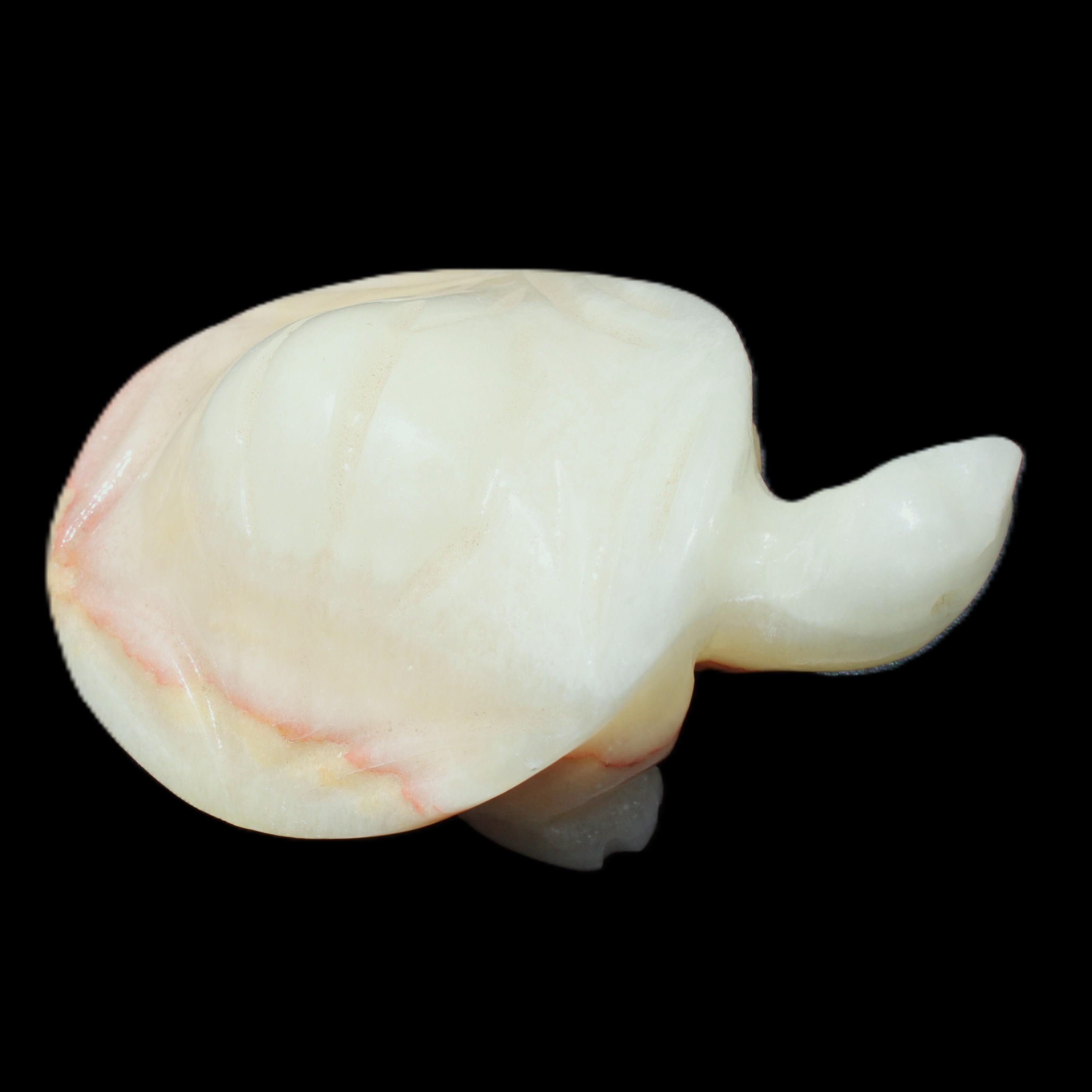 Afghan Jade Turtle hand-carved 85*58*32mm 153g in sunlight - Rocks and Things Store