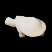 Afghan Jade Turtle hand-carved 85*58*32mm 153g in sunlight - Rocks and Things Store