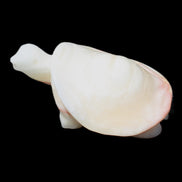 Afghan Jade Turtle hand-carved 85*58*32mm 153g in sunlight - Rocks and Things Store