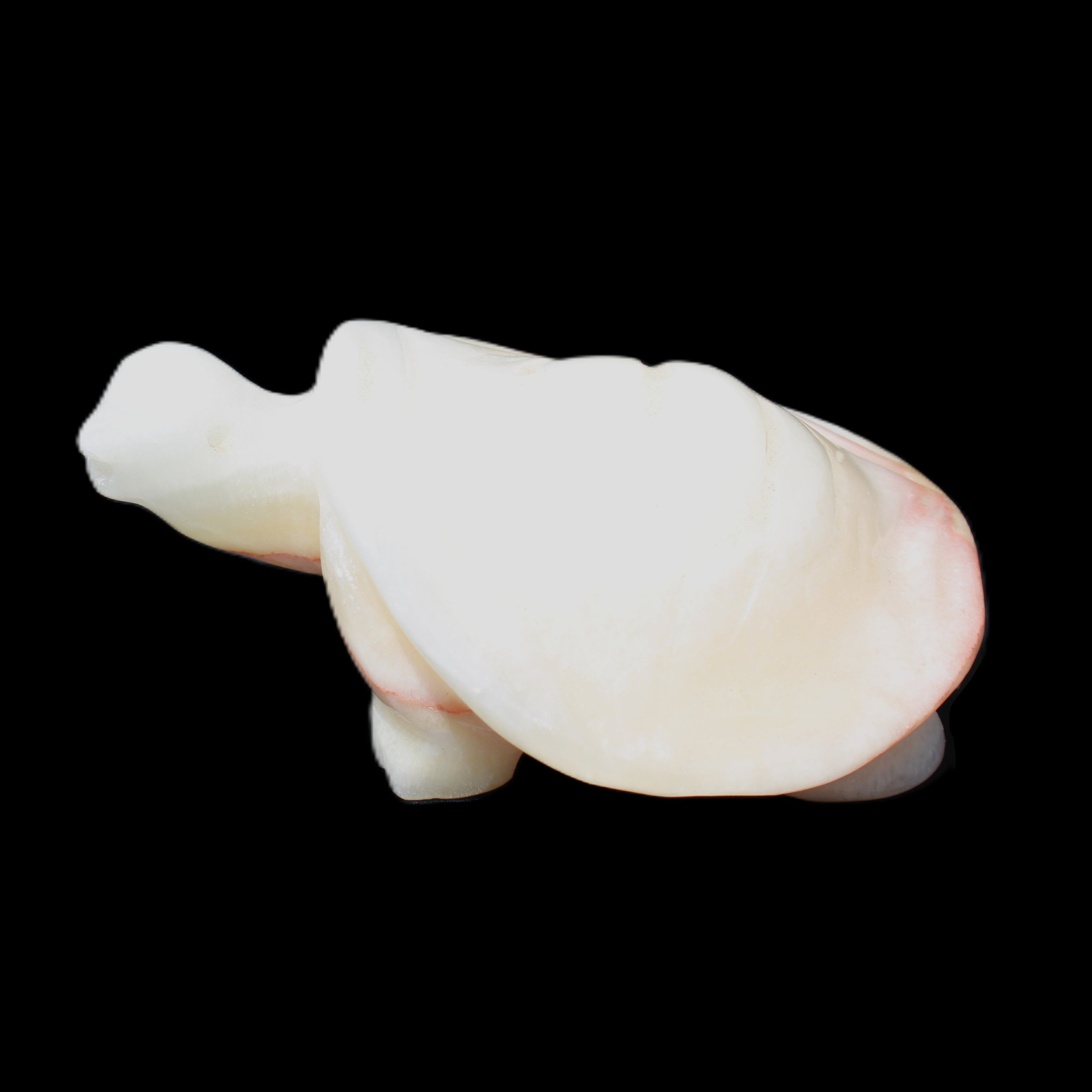 Afghan Jade Turtle hand-carved 85*58*32mm 153g in sunlight - Rocks and Things Store