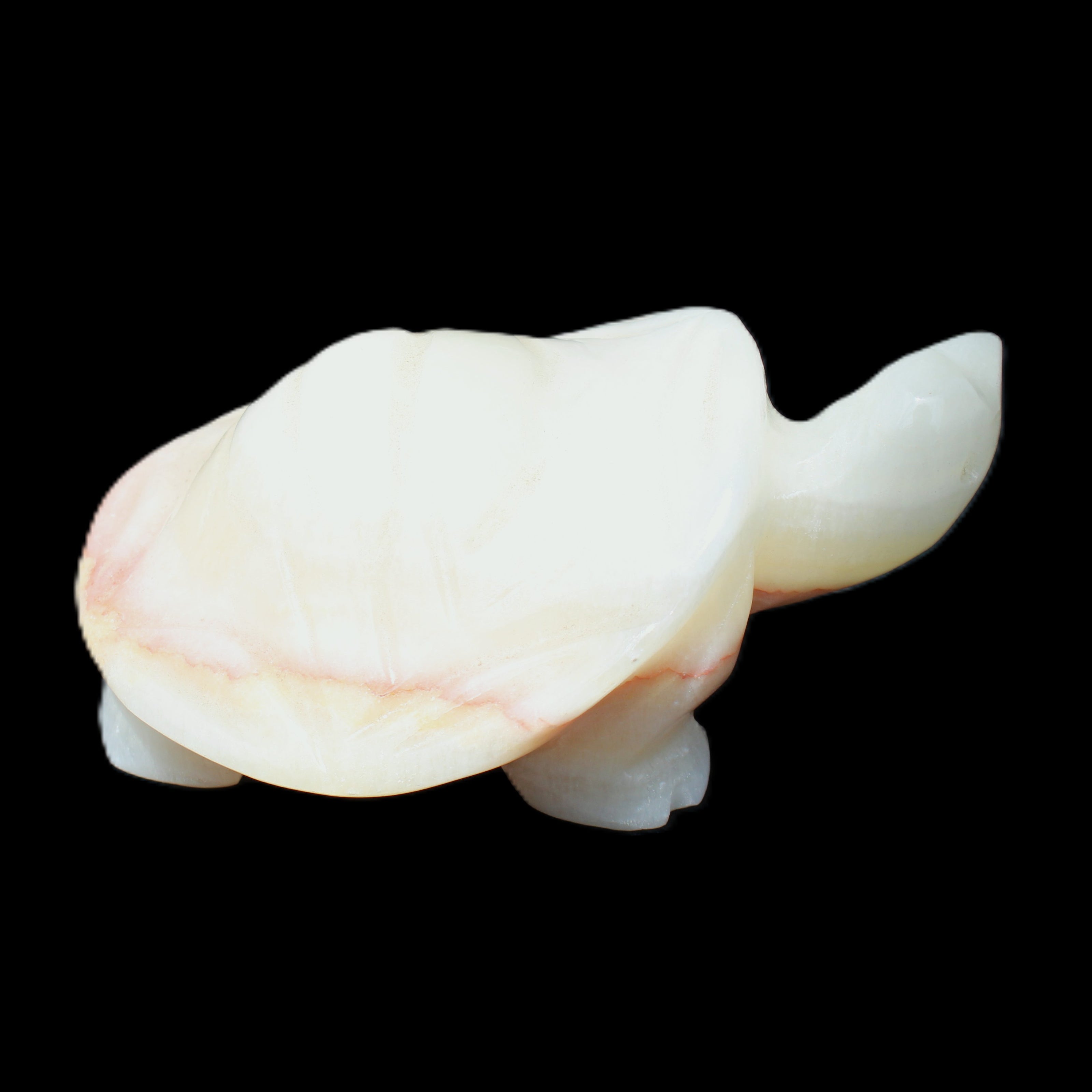 Afghan Jade Turtle hand-carved 85*58*32mm 153g in sunlight - Rocks and Things Store