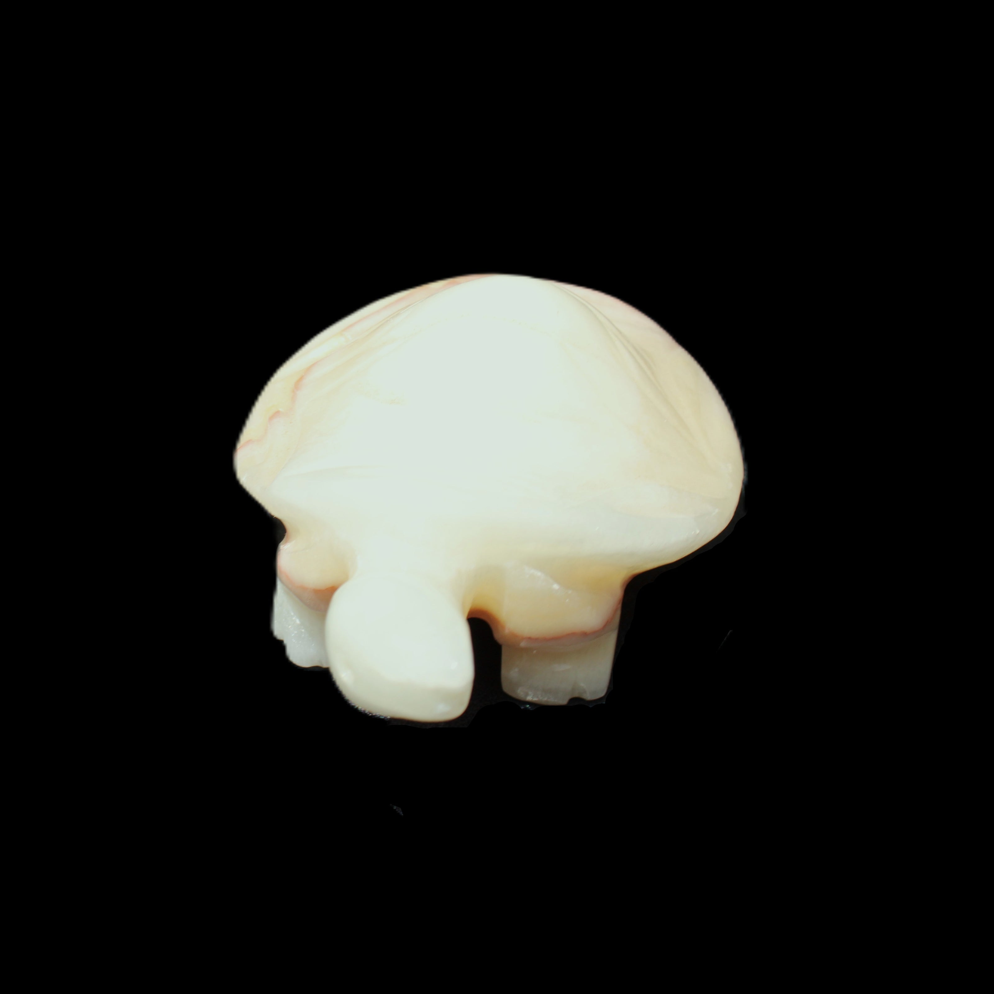 Afghan Jade Turtle hand-carved 85*58*32mm 153g in sunlight - Rocks and Things Store