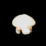 Afghan Jade Turtle hand-carved 85*58*32mm 153g in sunlight - Rocks and Things Store