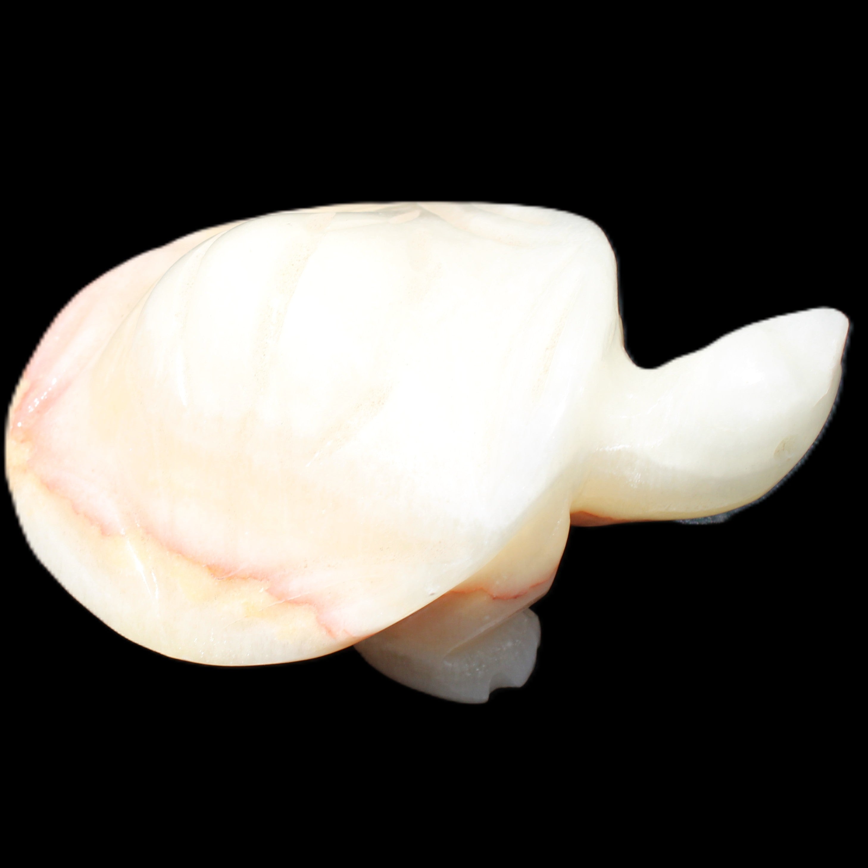 Afghan Jade Turtle hand-carved 85*58*32mm 153g in sunlight - Rocks and Things Store