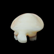 Afghan Jade Turtle hand-carved 85*58*32mm 153g in sunlight - Rocks and Things Store