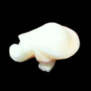 Afghan Jade Turtle hand-carved 85*58*32mm 153g in sunlight - Rocks and Things Store