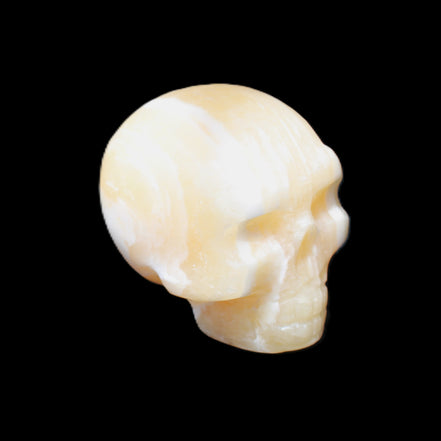 Yellow Calcite skull hand-carved 49*43*34mm 131g in sunlight - Rocks and Things Store