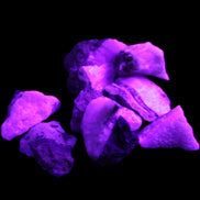 Pink Aragonite 9 small stones 23-35mm 77g in UV light - Rocks and Things Store