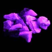 Pink Aragonite 9 small stones 23-35mm 77g in UV light - Rocks and Things Store