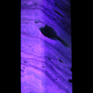 Aqua Blue Caribbean Calcite obelisk 292g in UV light - Rocks and Things Store