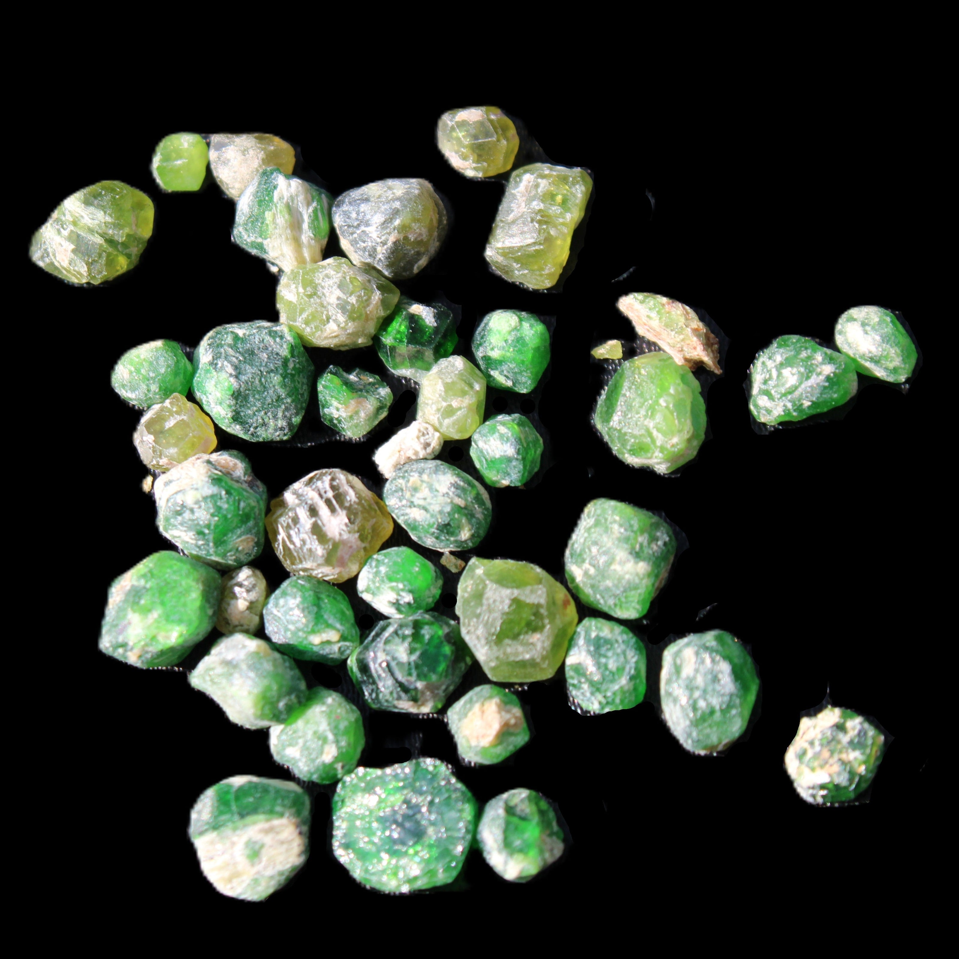 Green Garnets from Pakistan approx. 20-60 tiny crystals 10g in sunlight - Rocks and Things Store