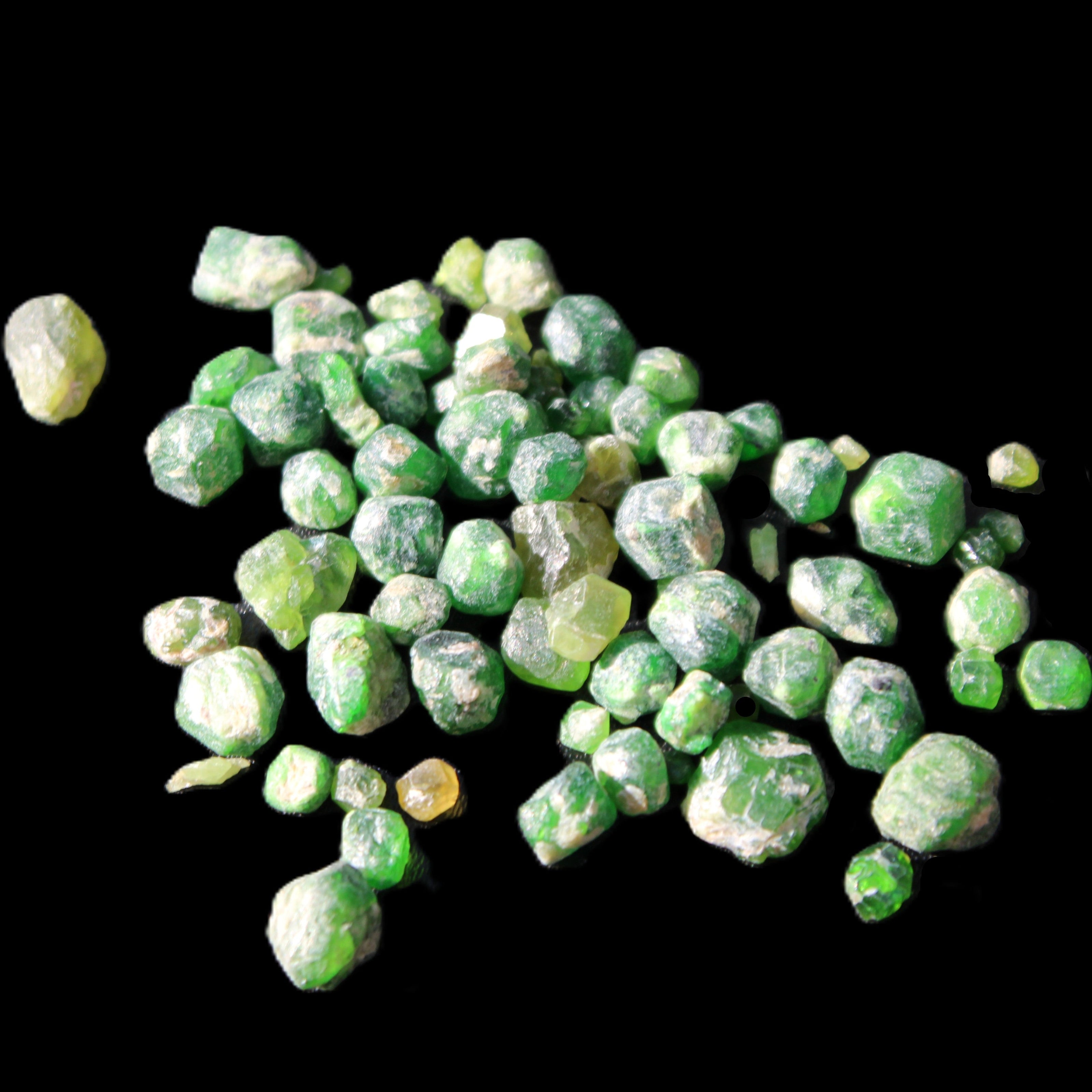 Green Garnets from Pakistan approx. 20-60 tiny crystals 10g in sunlight - Rocks and Things Store