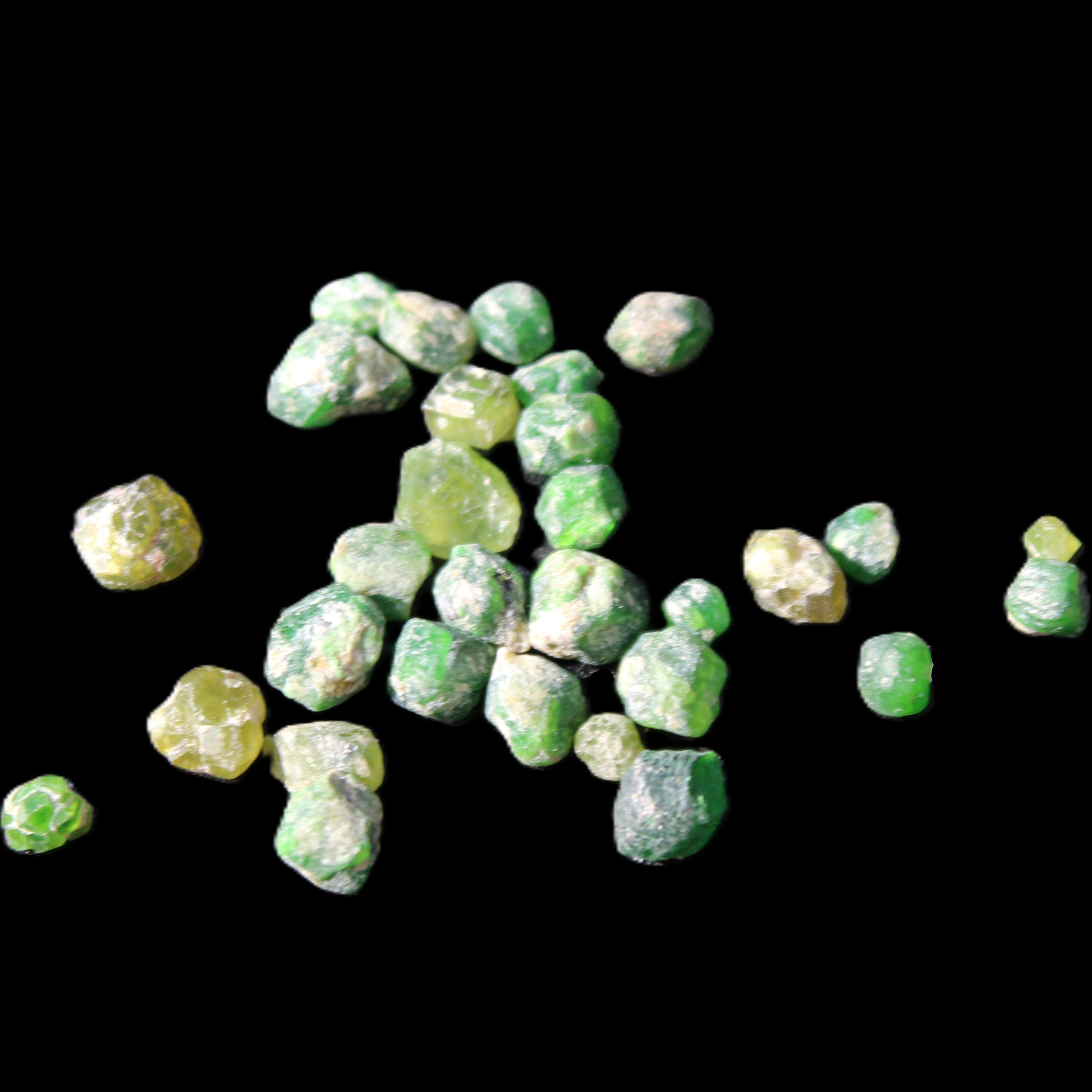 Green Garnets from Pakistan approx. 20-60 tiny crystals 10g in sunlight - Rocks and Things Store