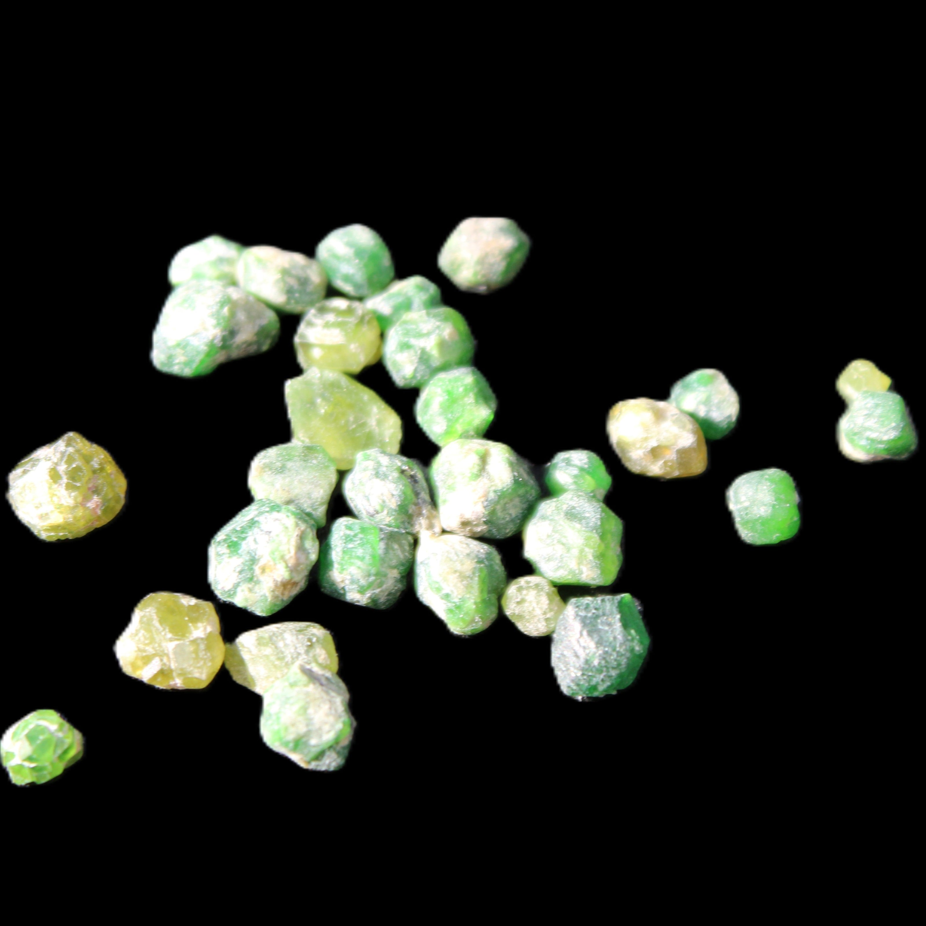 Green Garnets from Pakistan approx. 20-60 tiny crystals 10g in sunlight - Rocks and Things Store