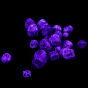 Green Garnet from Pakistan 26 tiny crystals 6.9g in UV light - Rocks and Things Store