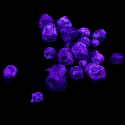 Green Garnet from Pakistan 26 tiny crystals 6.9g in UV light - Rocks and Things Store