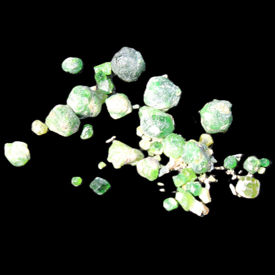 Green Garnet from Pakistan 26 tiny crystals 6.9g in sunlight - Rocks and Things Store
