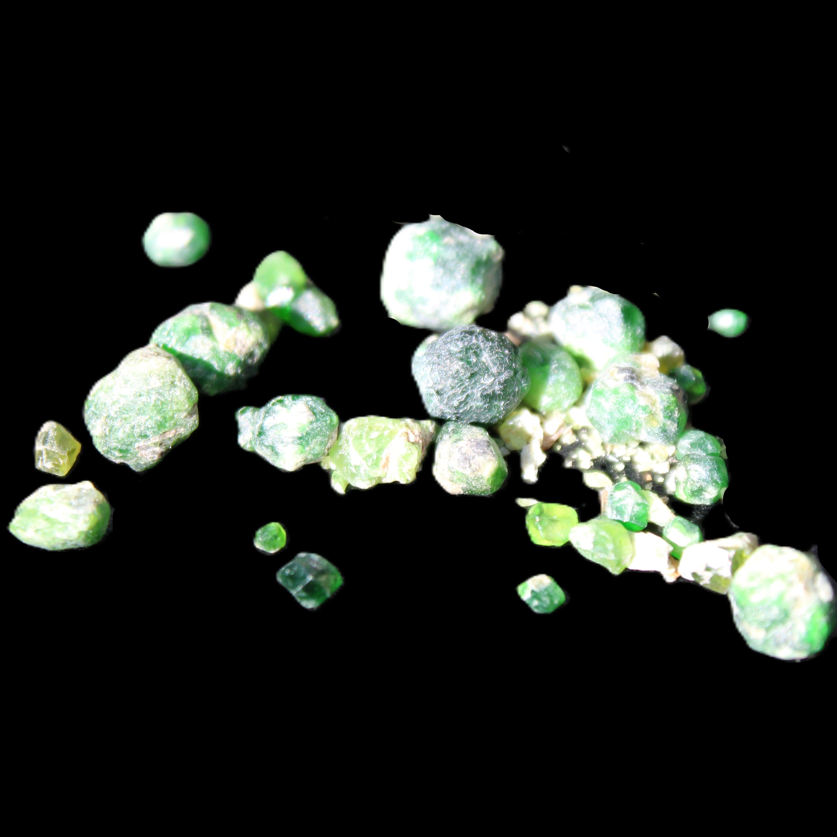 Green Garnet from Pakistan 26 tiny crystals 6.9g in sunlight - Rocks and Things Store
