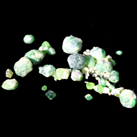 Green Garnet from Pakistan 26 tiny crystals 6.9g in sunlight - Rocks and Things Store