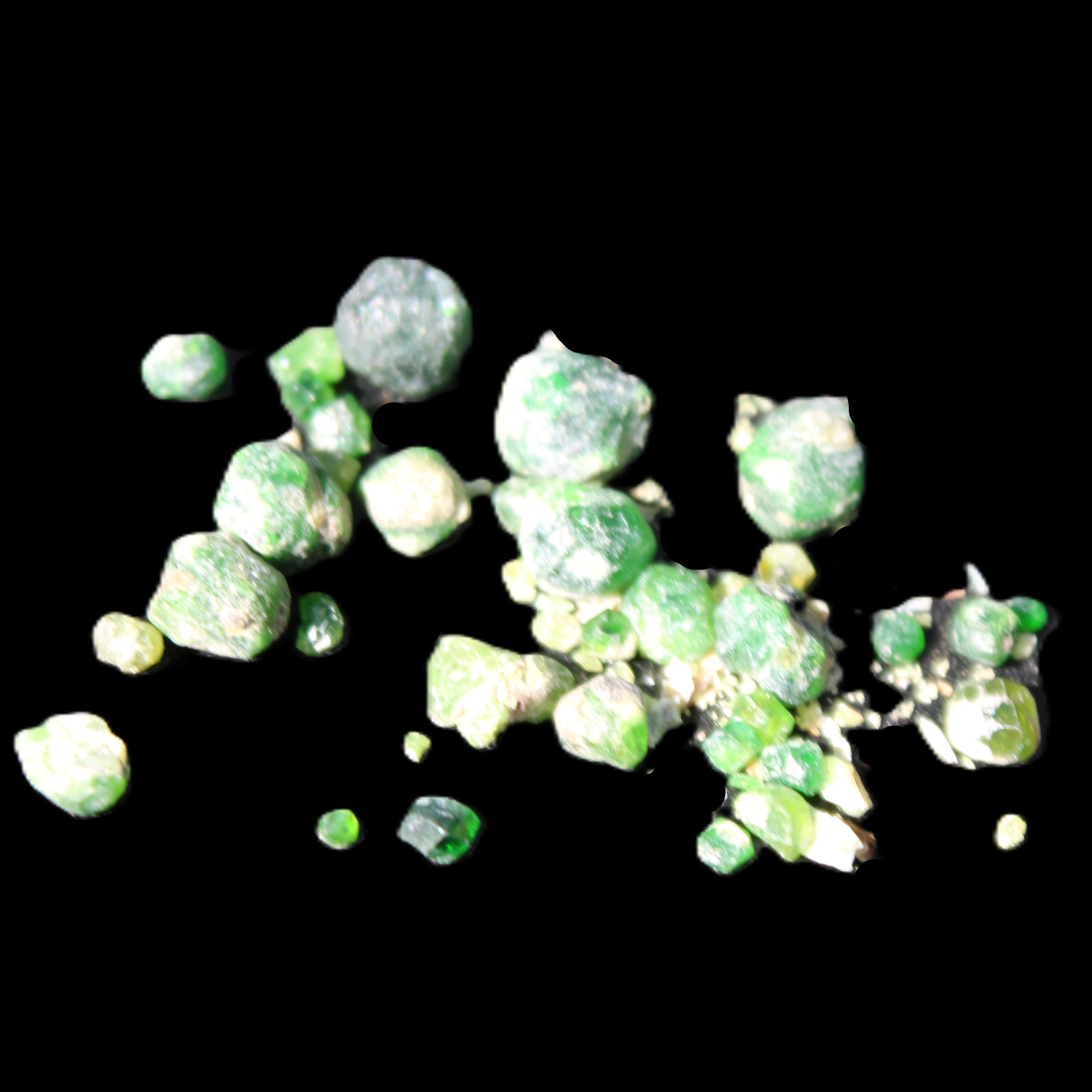 Green Garnet from Pakistan 26 tiny crystals 6.9g in sunlight - Rocks and Things Store