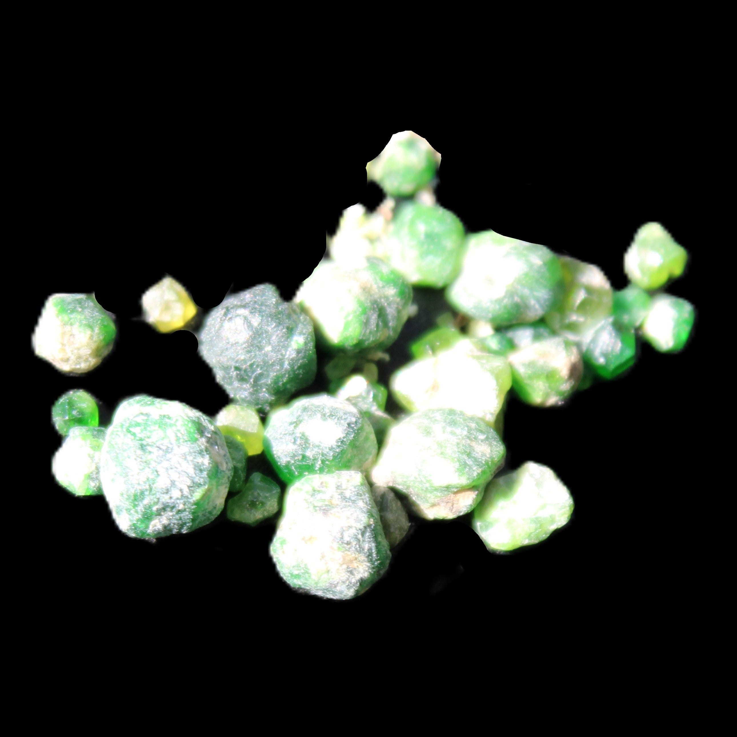 Green Garnet from Pakistan 26 tiny crystals 6.9g in sunlight - Rocks and Things Store